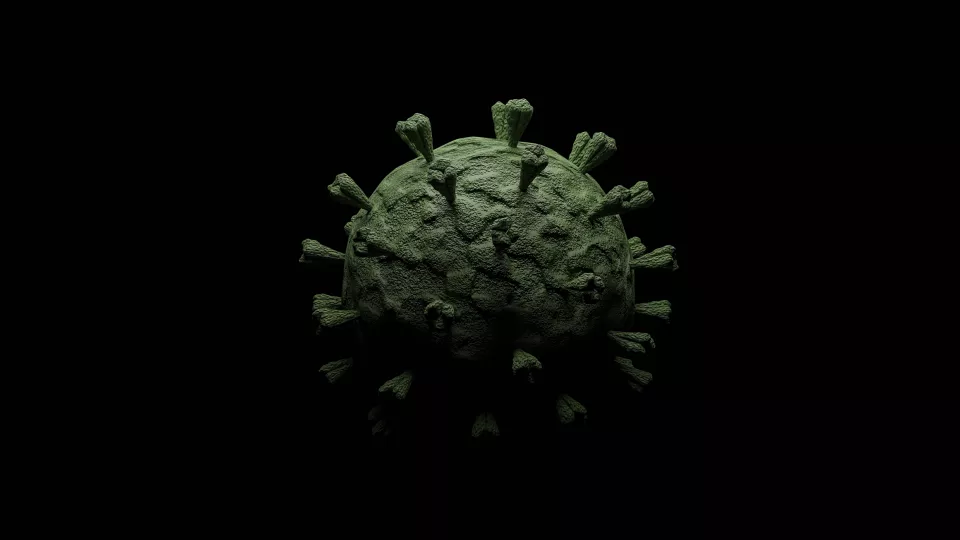 The corona virus. Picture: Mostphotos. 