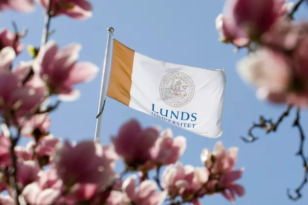 Lunds universitets flagga hissad i en flaggstång omgiven av blommmande magnolia. Foto: Mikael Risedal.