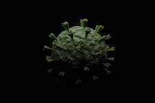 The corona virus. Picture: Mostphotos. 
