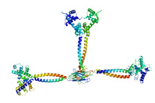 Illustration of a protein motor.