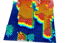 Arsenic and bismuth atoms on surface terraces of a GaAs nanowire.