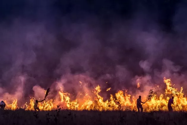Foto. Siluettbilder av människor som bekämpar eld i en skog som brinner. Konsekvenser av klimatförändringar och moderna skogsbruksmetoder är att skogsbränder ökar. Foto: iStockphoto. 