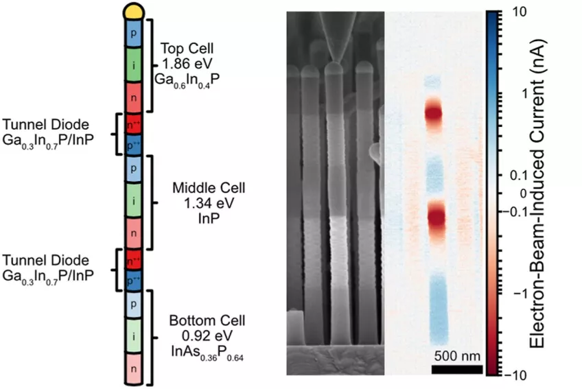 Nanotrådar i tre material avbildade av ett svepelektronmikroskop. En tråd är tusen gånger tunnare än ett hårstrå. Den röda och blå färgen visar strömriktning och att nanotrådarna fungerar som en tandemsolcell. Bild: Lunds universitet. 